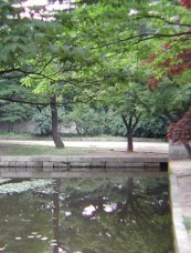 South Korea, Seoul, Changdeokgung Palace grounds 